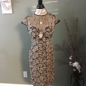 Adrianna Papell Lace two tone dress
